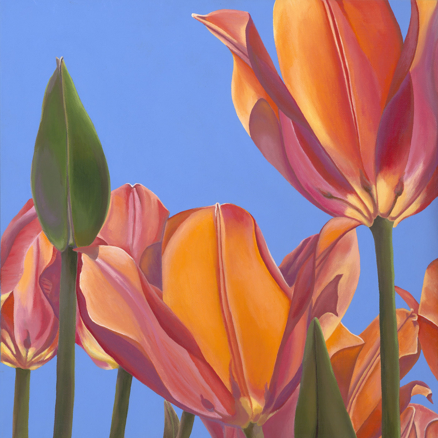 Renée Switkes' tulips painting, "Tulips; Rise with Enthusiasm" is available at Voss Gallery, San Francisco for $900.